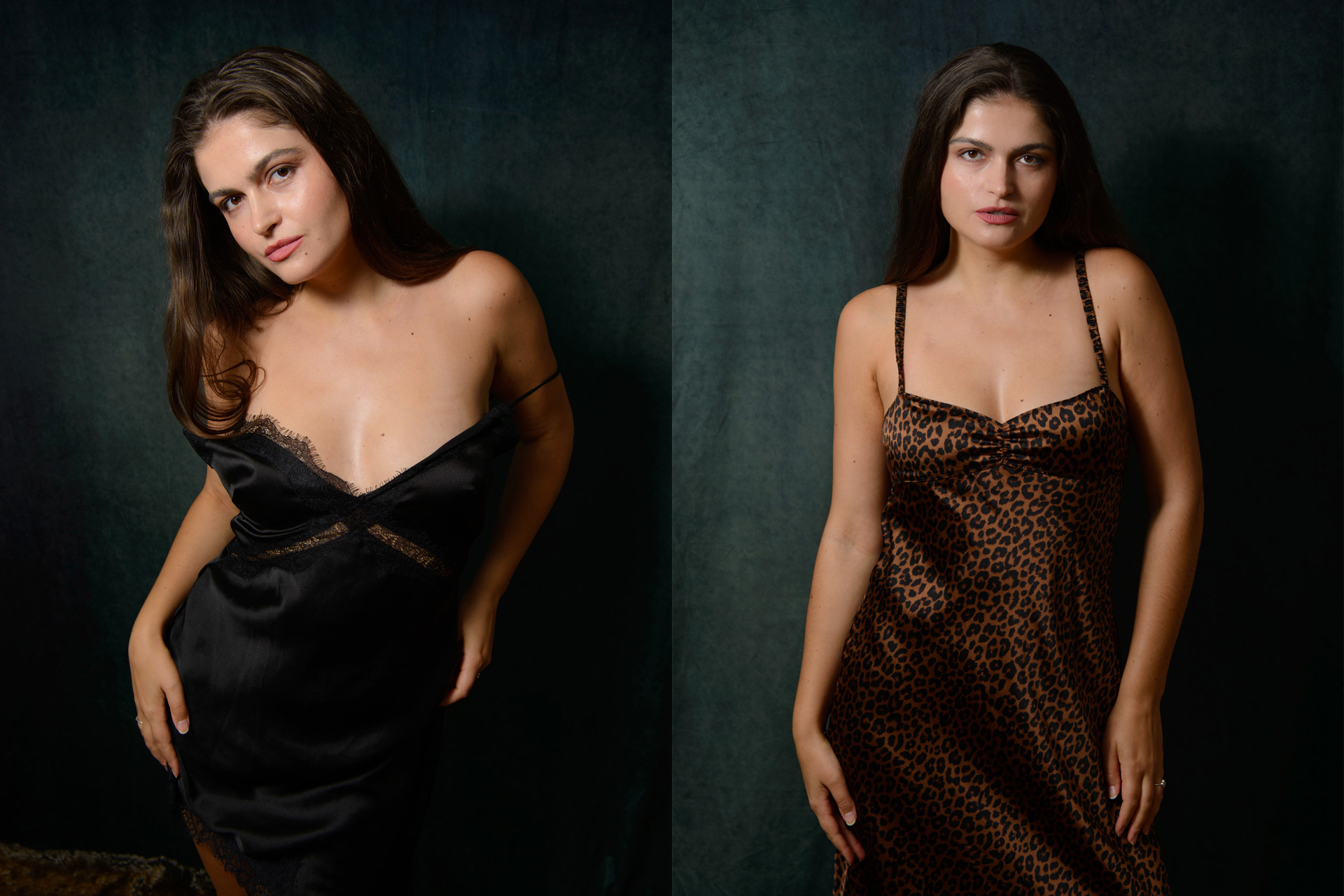 Vlada-Collage-Web